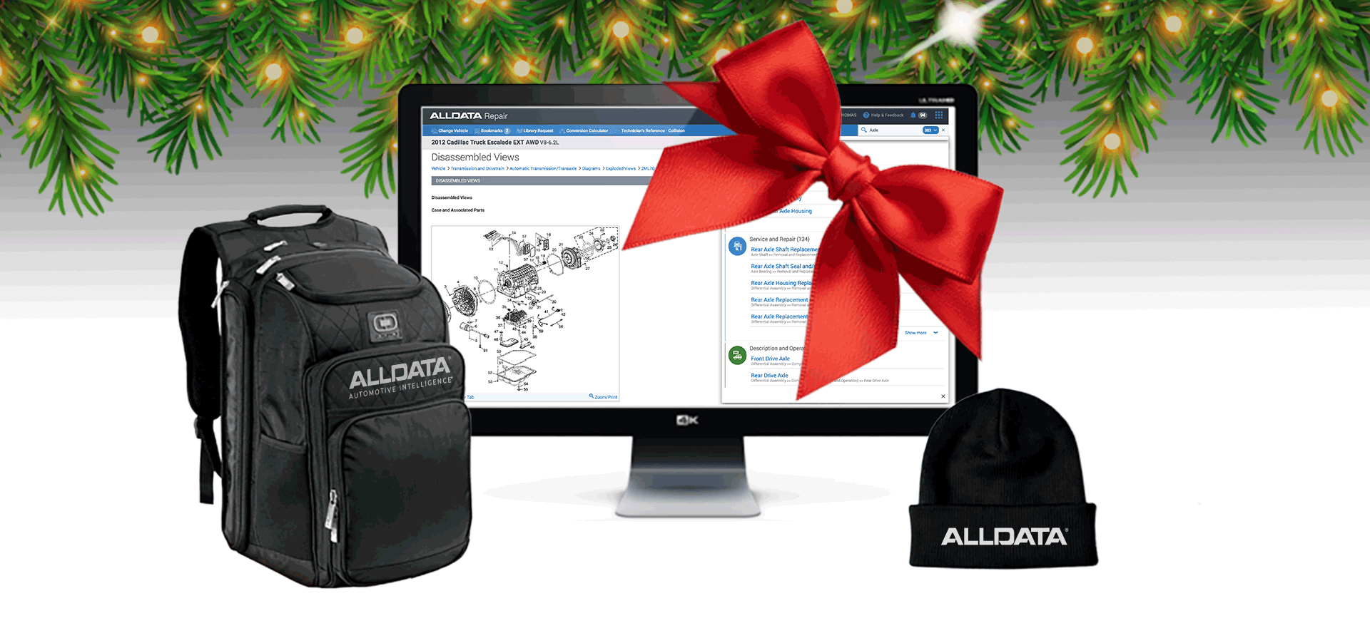 ALLDATA Holidays