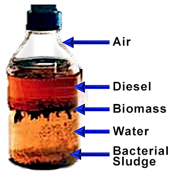 Biomass in diesel