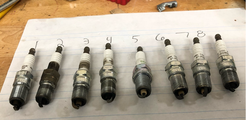 eight spark plugs of various conditions