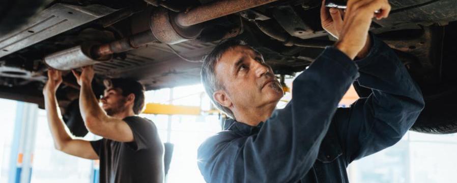 Keeping and grooming your techs