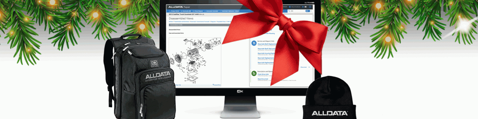 ALLDATA Holiday Details