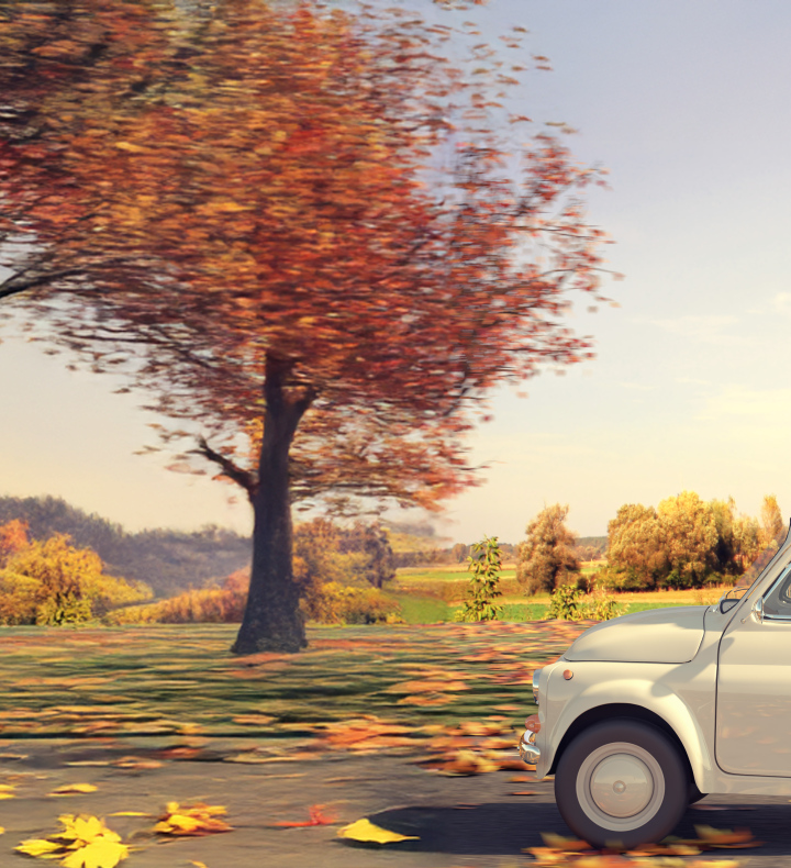 Car with turkey on roof