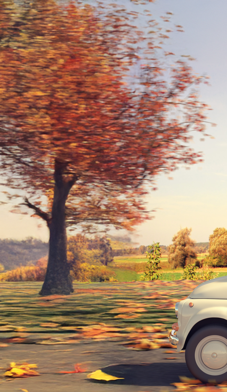 Car with turkey on roof